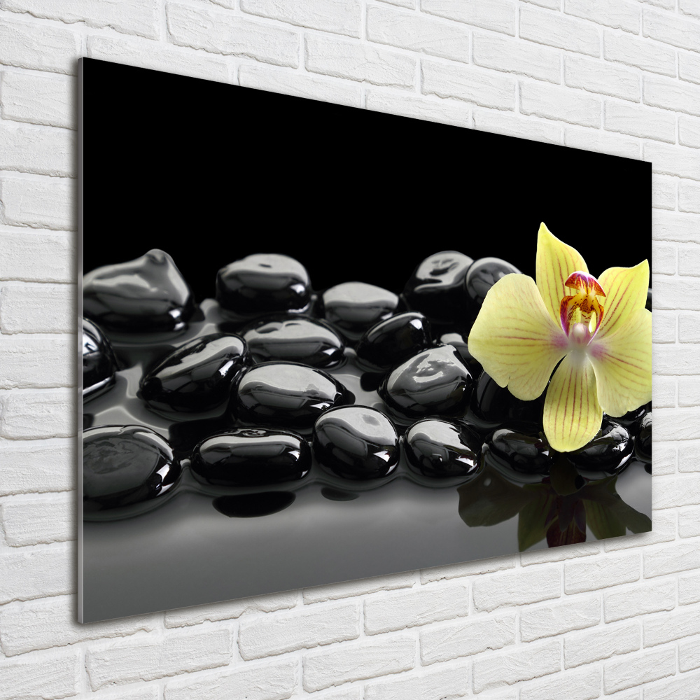 Obraz zdjęcie na ścianę akryl Orchidea