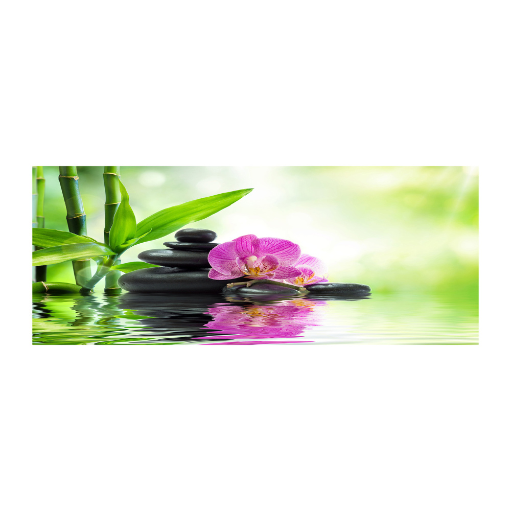 Obraz zdjęcie na ścianę akryl Orchidea