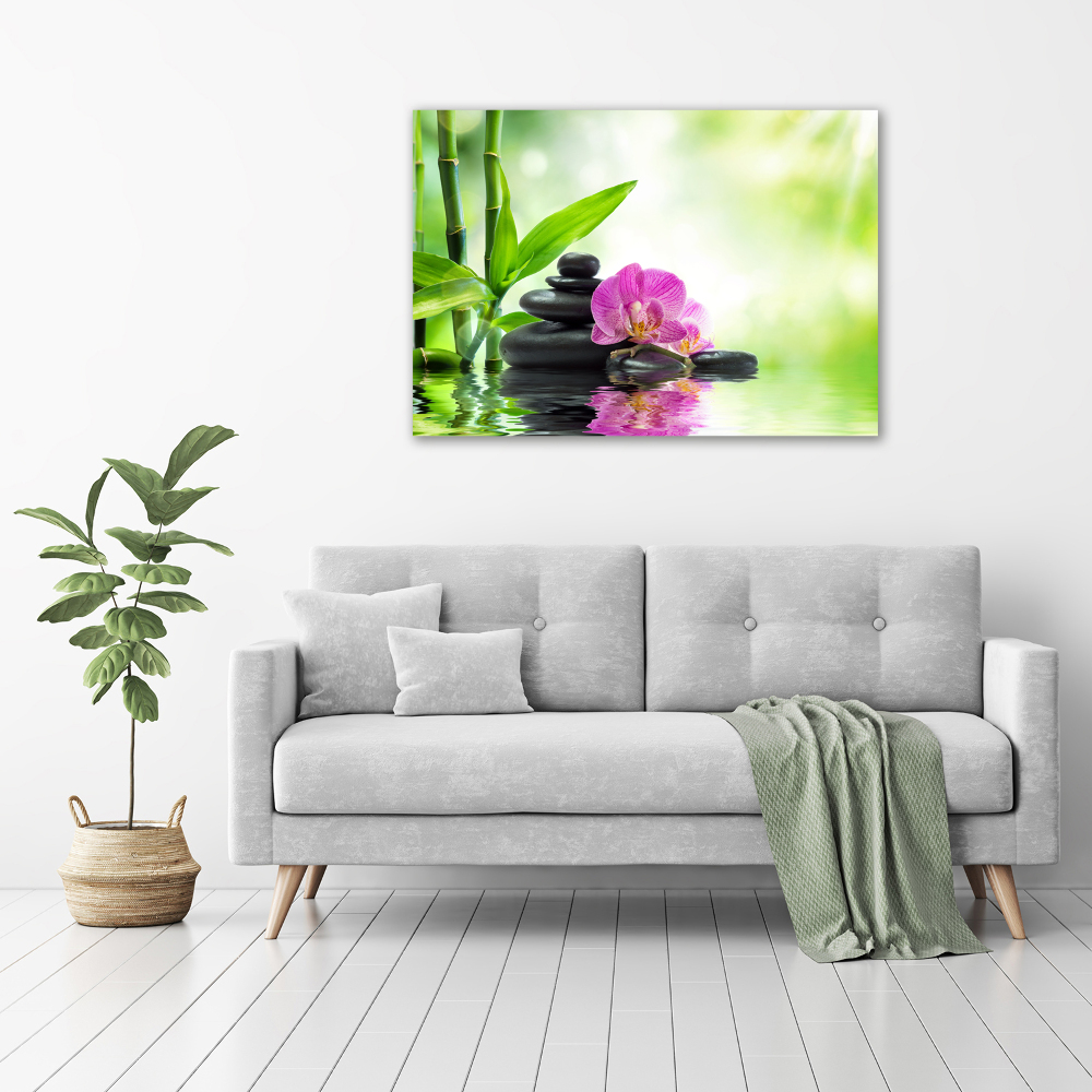 Obraz zdjęcie na ścianę akryl Orchidea