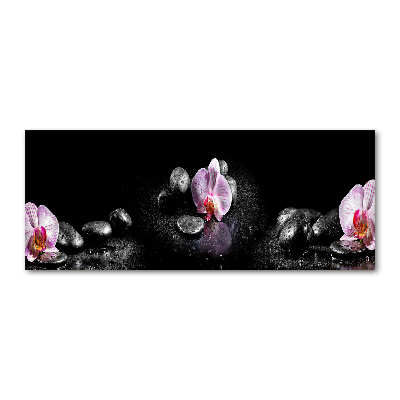 Obraz zdjęcie na ścianę akryl Orchidea