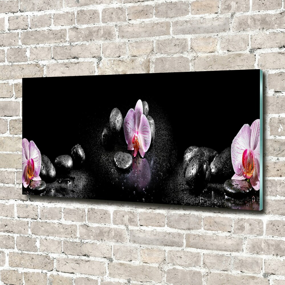 Obraz zdjęcie na ścianę akryl Orchidea