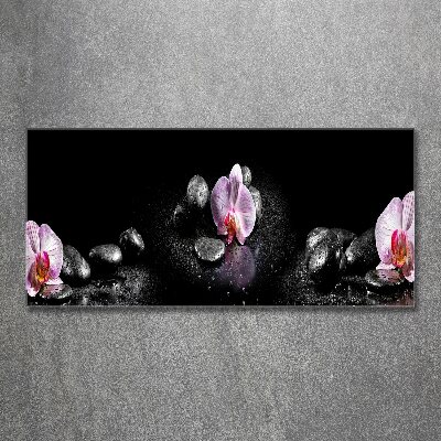 Obraz zdjęcie na ścianę akryl Orchidea