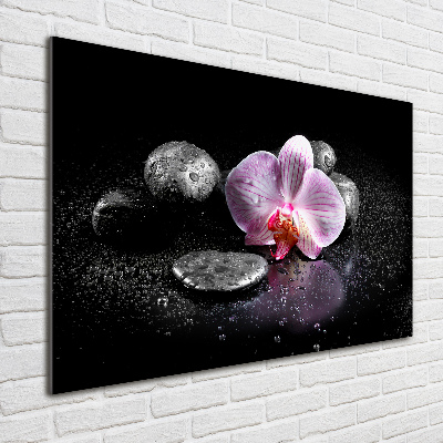 Obraz zdjęcie na ścianę akryl Orchidea