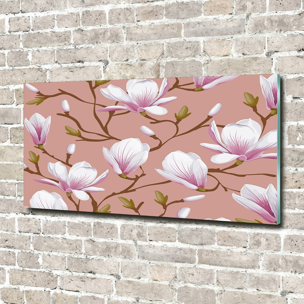 Obraz zdjęcie na ścianę akryl Magnolia