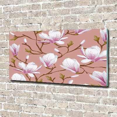 Obraz zdjęcie na ścianę akryl Magnolia