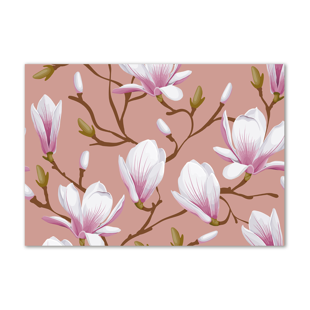 Obraz zdjęcie na ścianę akryl Magnolia