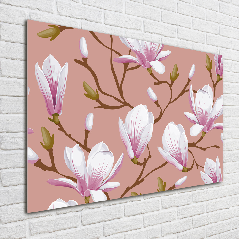 Obraz zdjęcie na ścianę akryl Magnolia