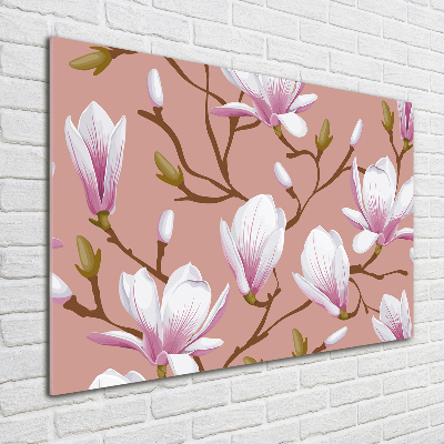 Obraz zdjęcie na ścianę akryl Magnolia