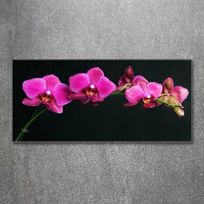 Obraz zdjęcie na ścianę akryl Orchidea