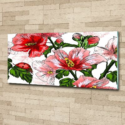 Obraz zdjęcie na ścianę akryl Hibiskus