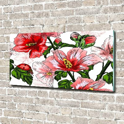 Obraz zdjęcie na ścianę akryl Hibiskus