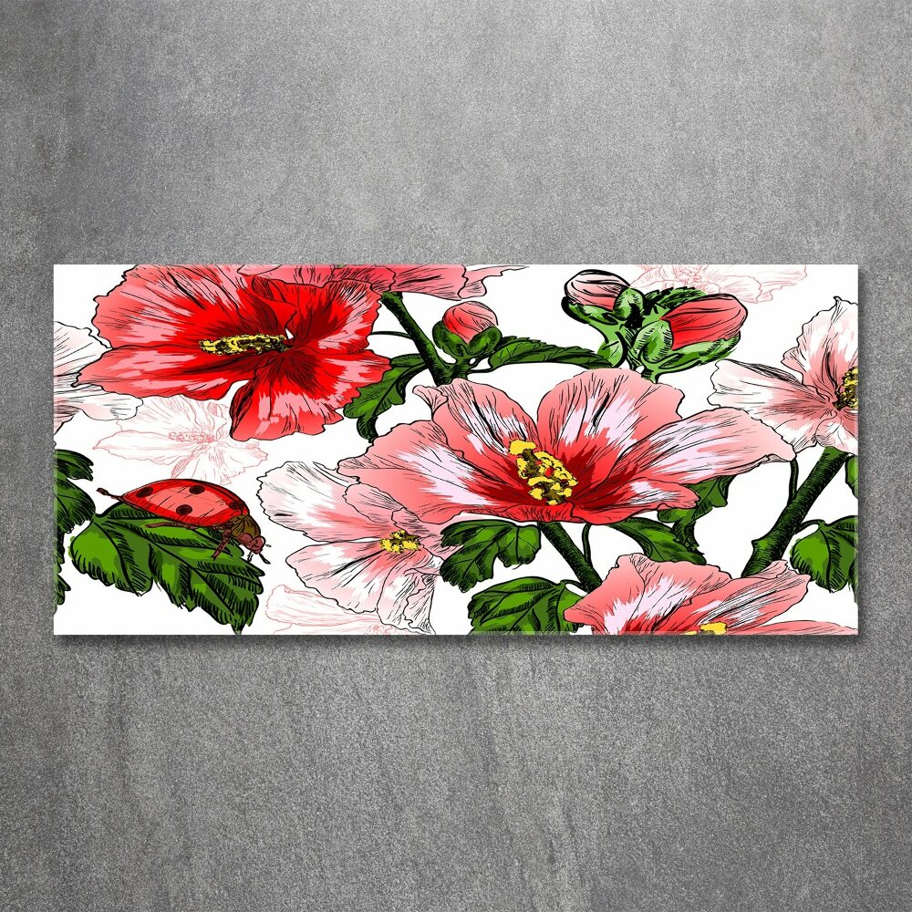 Obraz zdjęcie na ścianę akryl Hibiskus