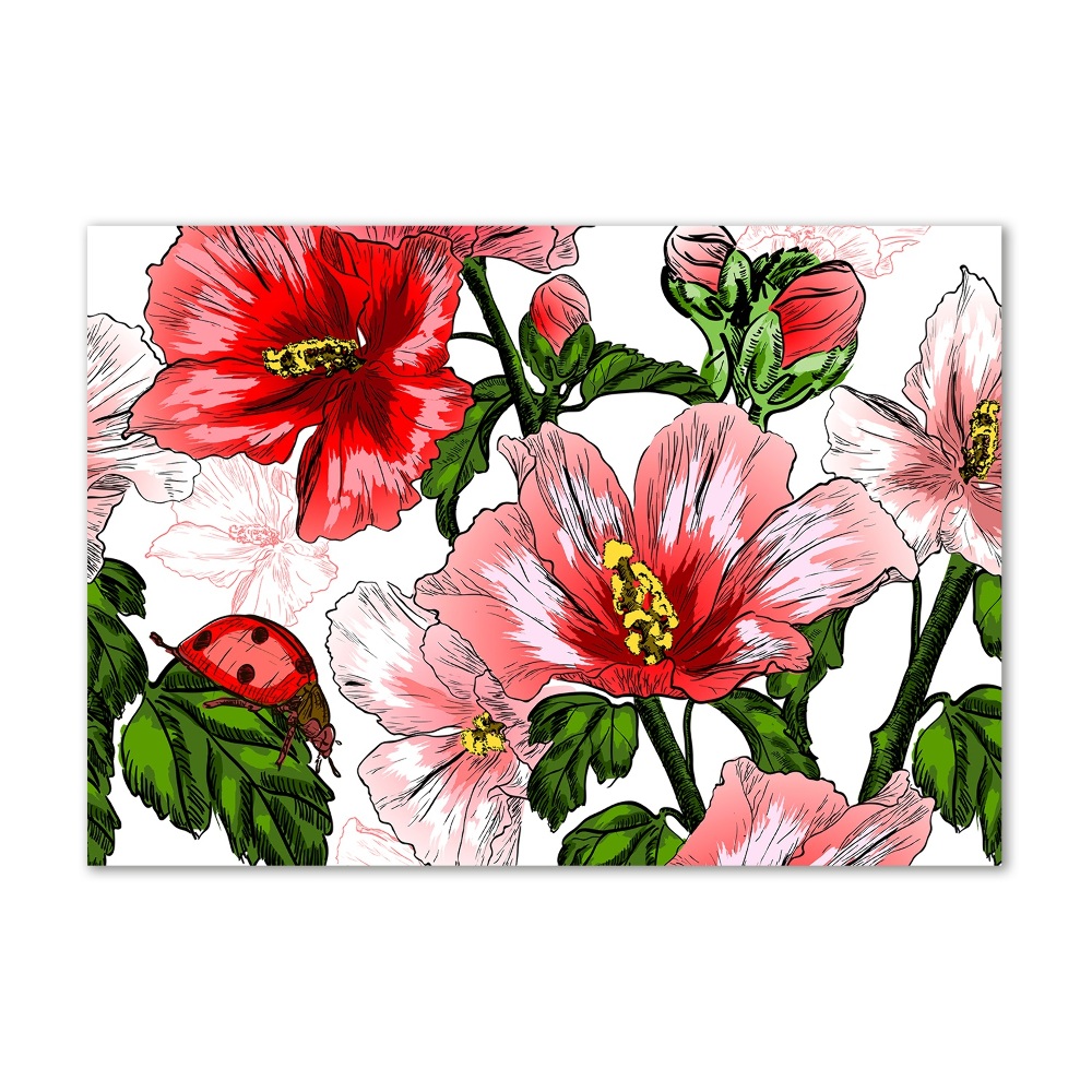 Obraz zdjęcie na ścianę akryl Hibiskus