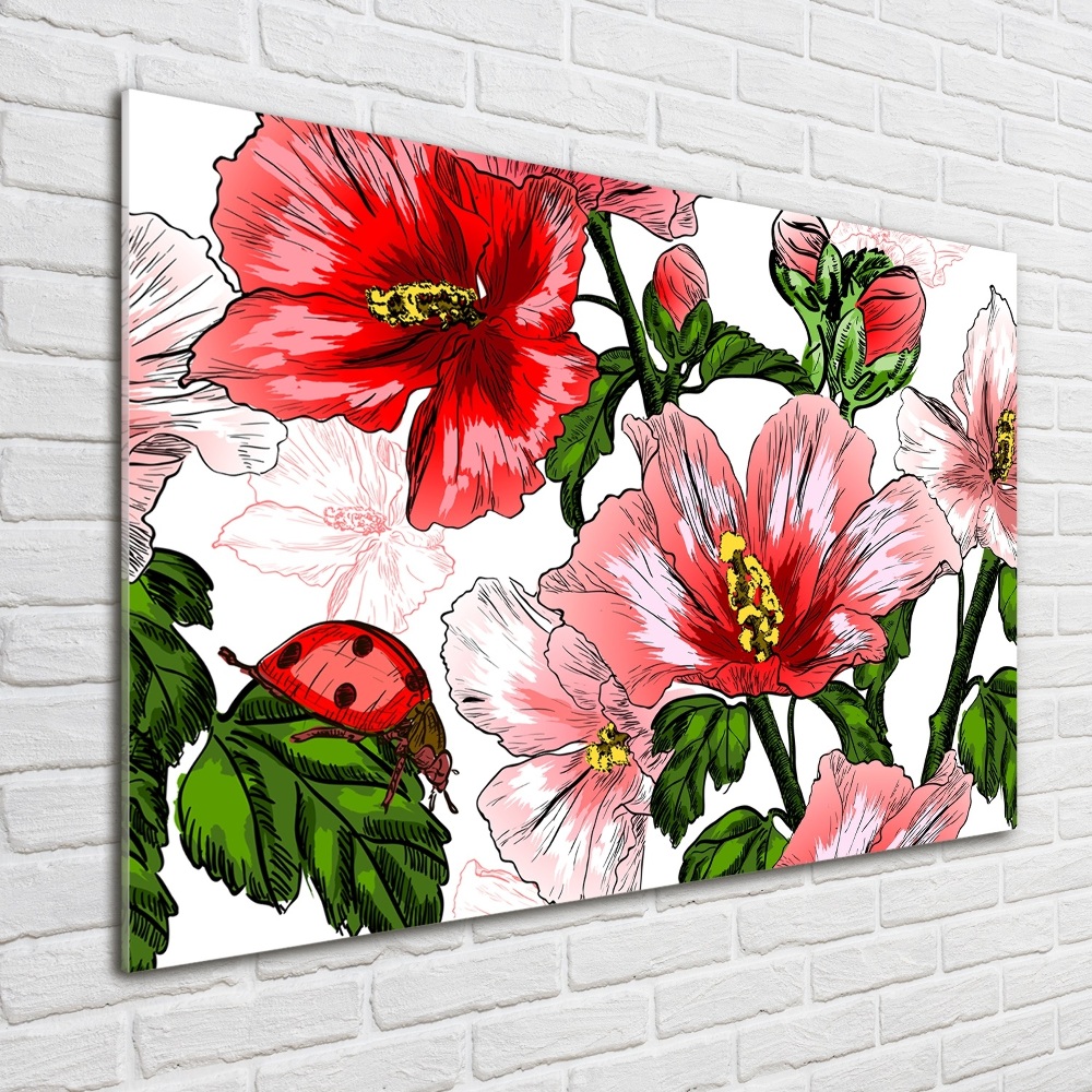 Obraz zdjęcie na ścianę akryl Hibiskus