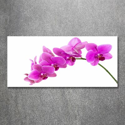 Obraz zdjęcie szkło akryl Różowa orchidea