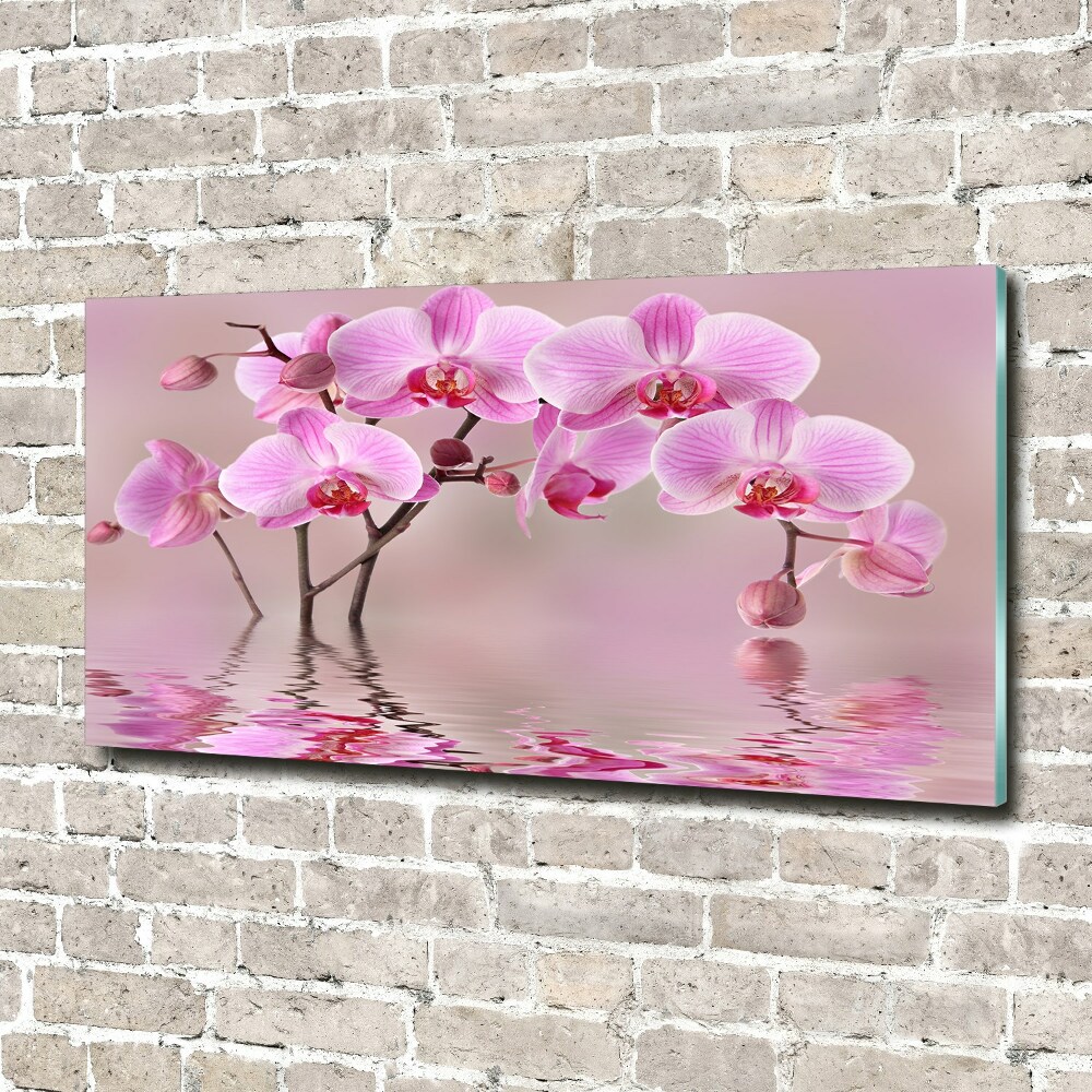 Obraz zdjęcie szkło akryl Różowa orchidea