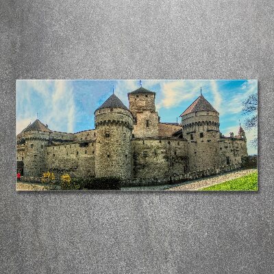 Foto obraz akryl Zamek w Szwajcarii