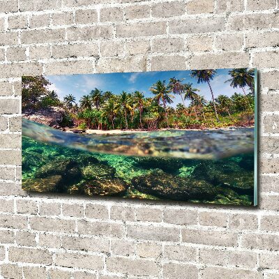 Foto obraz szkło akryl Tropikalna plaża