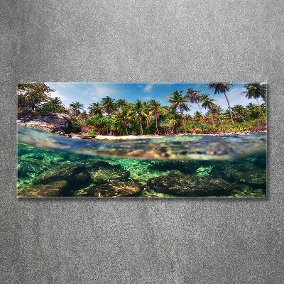 Foto obraz szkło akryl Tropikalna plaża