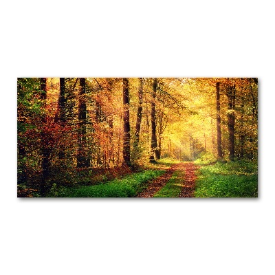 Foto obraz szkło akryl Las jesienią