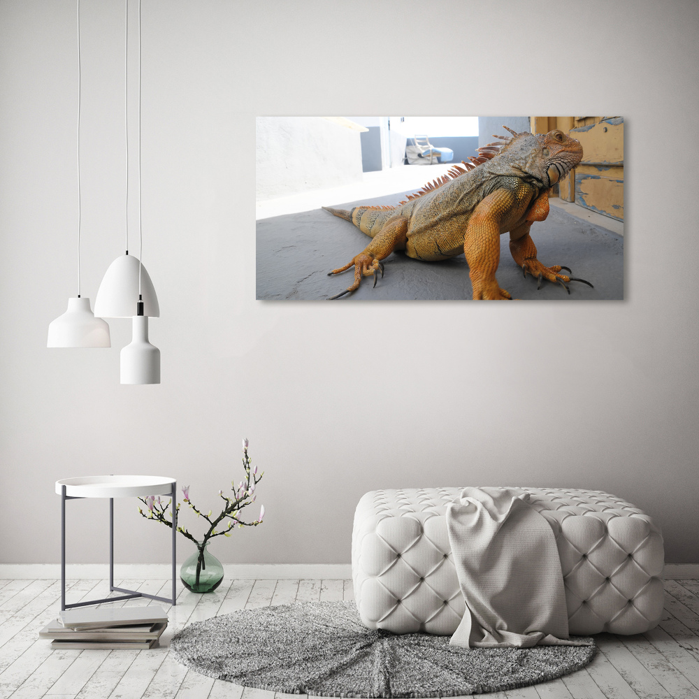 Obraz zdjęcie na scianę akrylowy Iguana