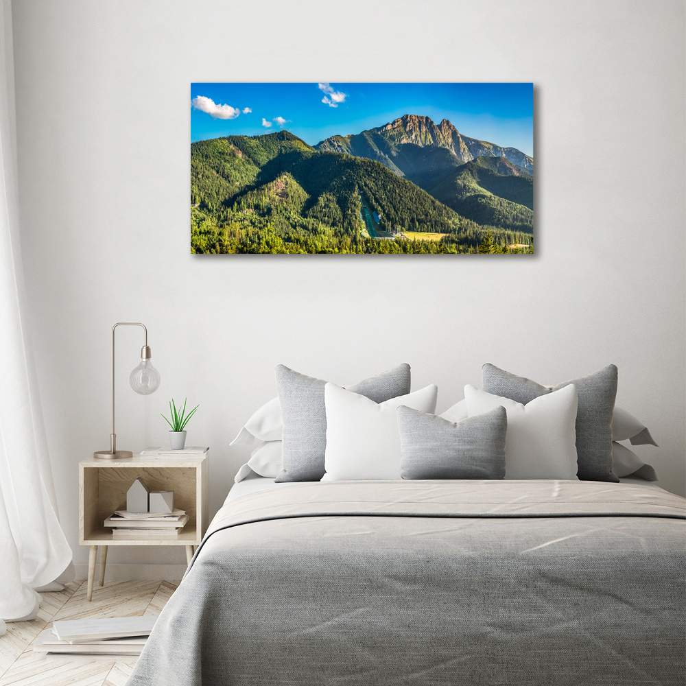 Foto obraz szkło akryl Panorama Tatr