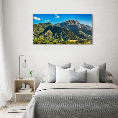 Foto obraz szkło akryl Panorama Tatr