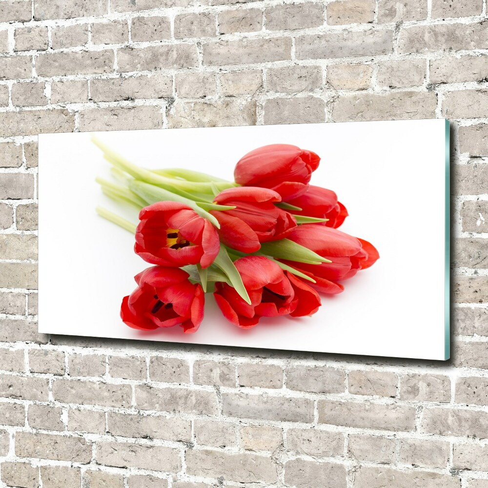 Foto obraz szkło akryl Czerwone tulipany