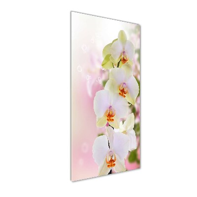 Obraz zdjęcie szkło akryl pionowy Biała orchidea