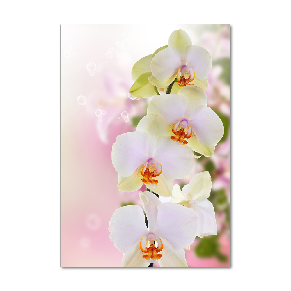 Obraz zdjęcie szkło akryl pionowy Biała orchidea