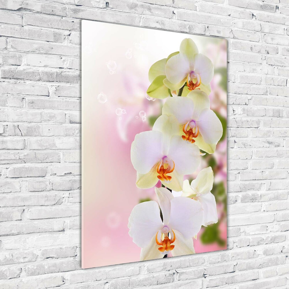 Obraz zdjęcie szkło akryl pionowy Biała orchidea
