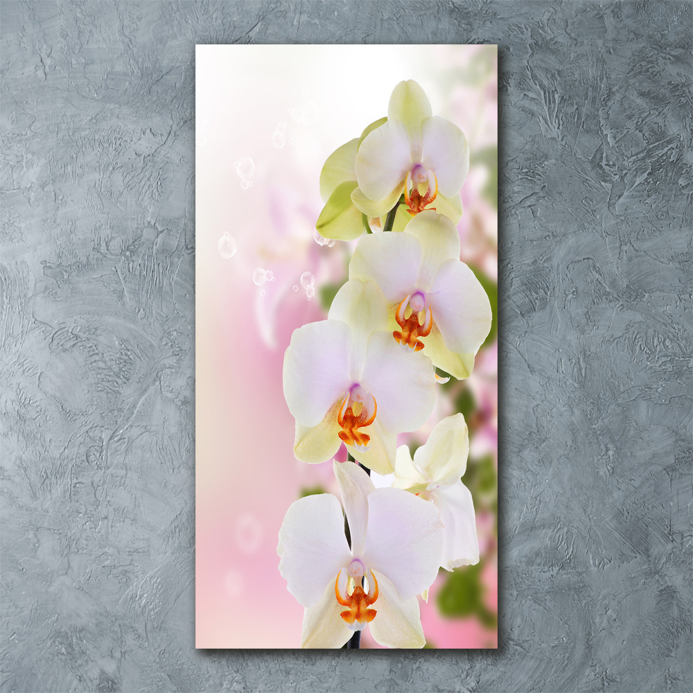 Obraz zdjęcie szkło akryl pionowy Biała orchidea