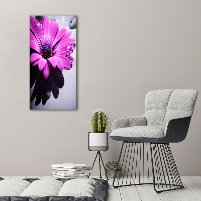 Obraz zdjęcie szkło akryl pionowy Różowa gerbera