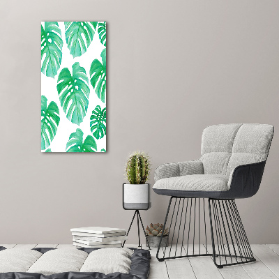Obraz zdjęcie akryl pionowy Monstera