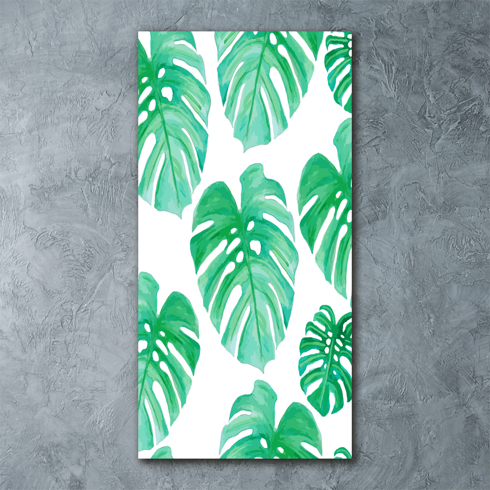 Obraz zdjęcie akryl pionowy Monstera