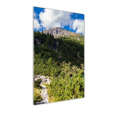 Foto obraz szkło akryl pionowy Morskie oko Tatry