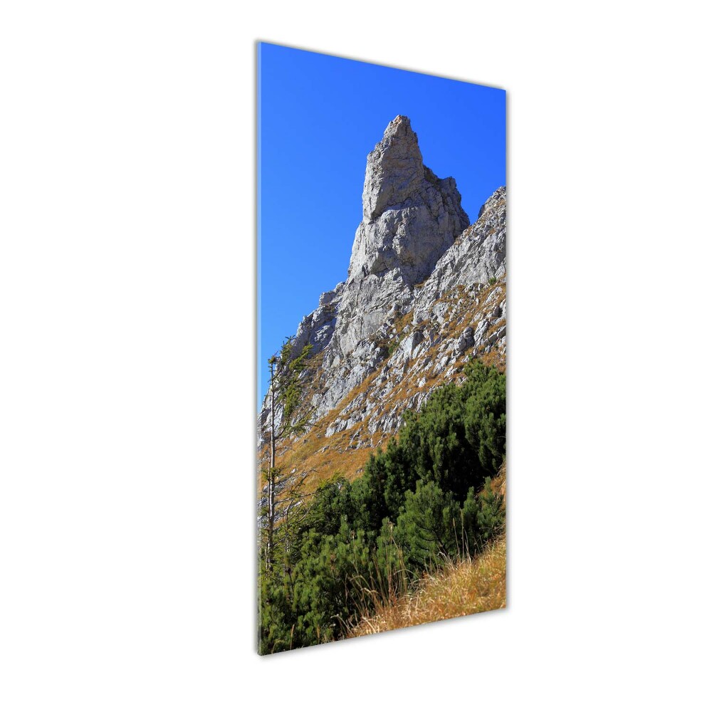 Obraz zdjęcie szkło akryl pionowy mały Giewont Tatry