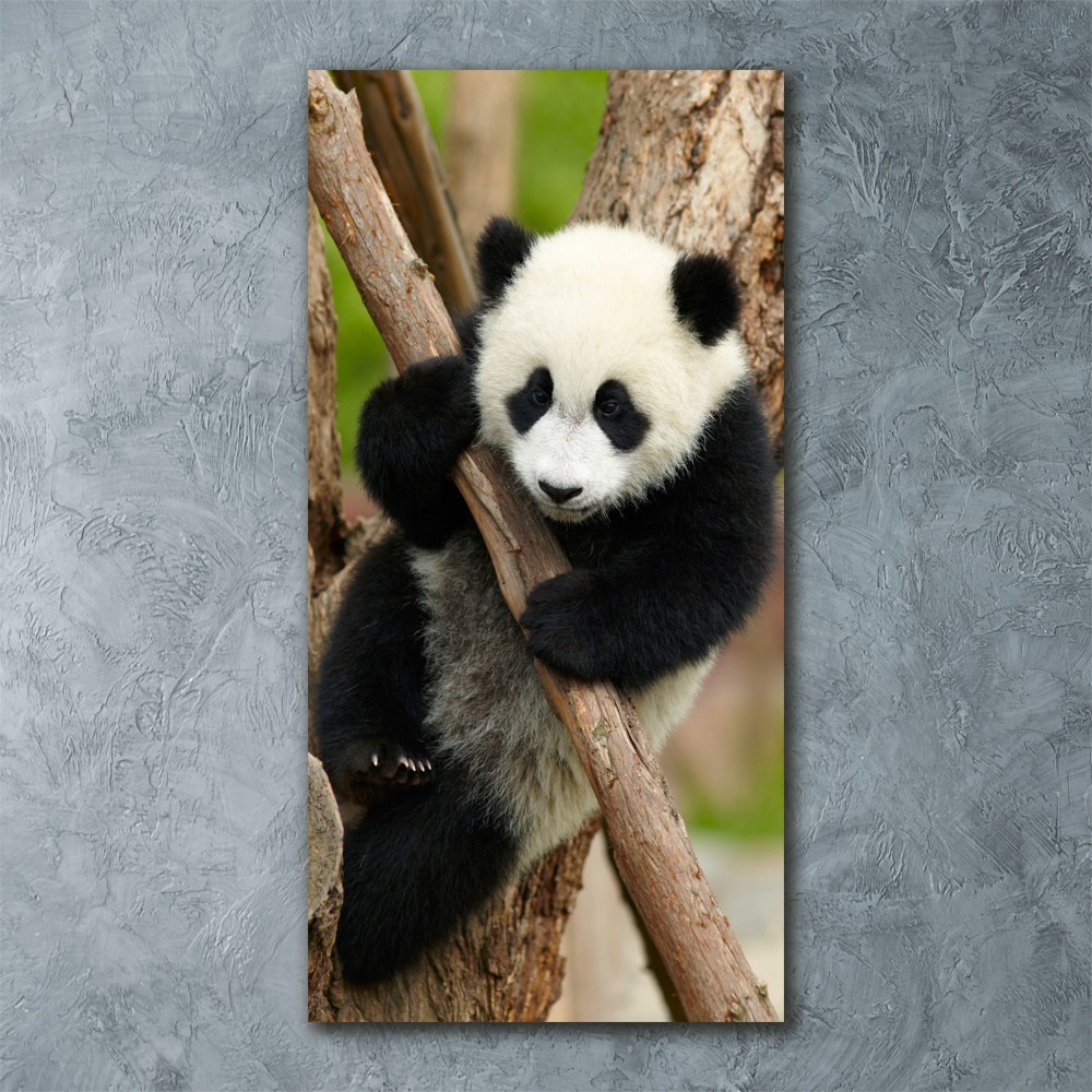 Foto obraz akryl pionowy Panda na drzewie