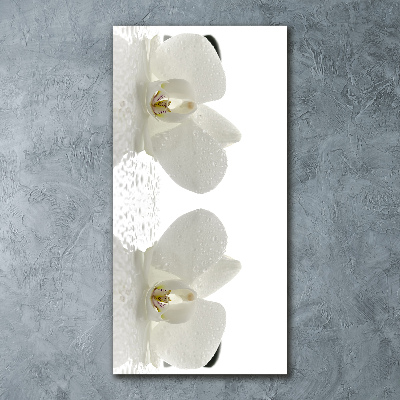 Obraz zdjęcie na ścianę akryl pionowy Orchidea i kamienie