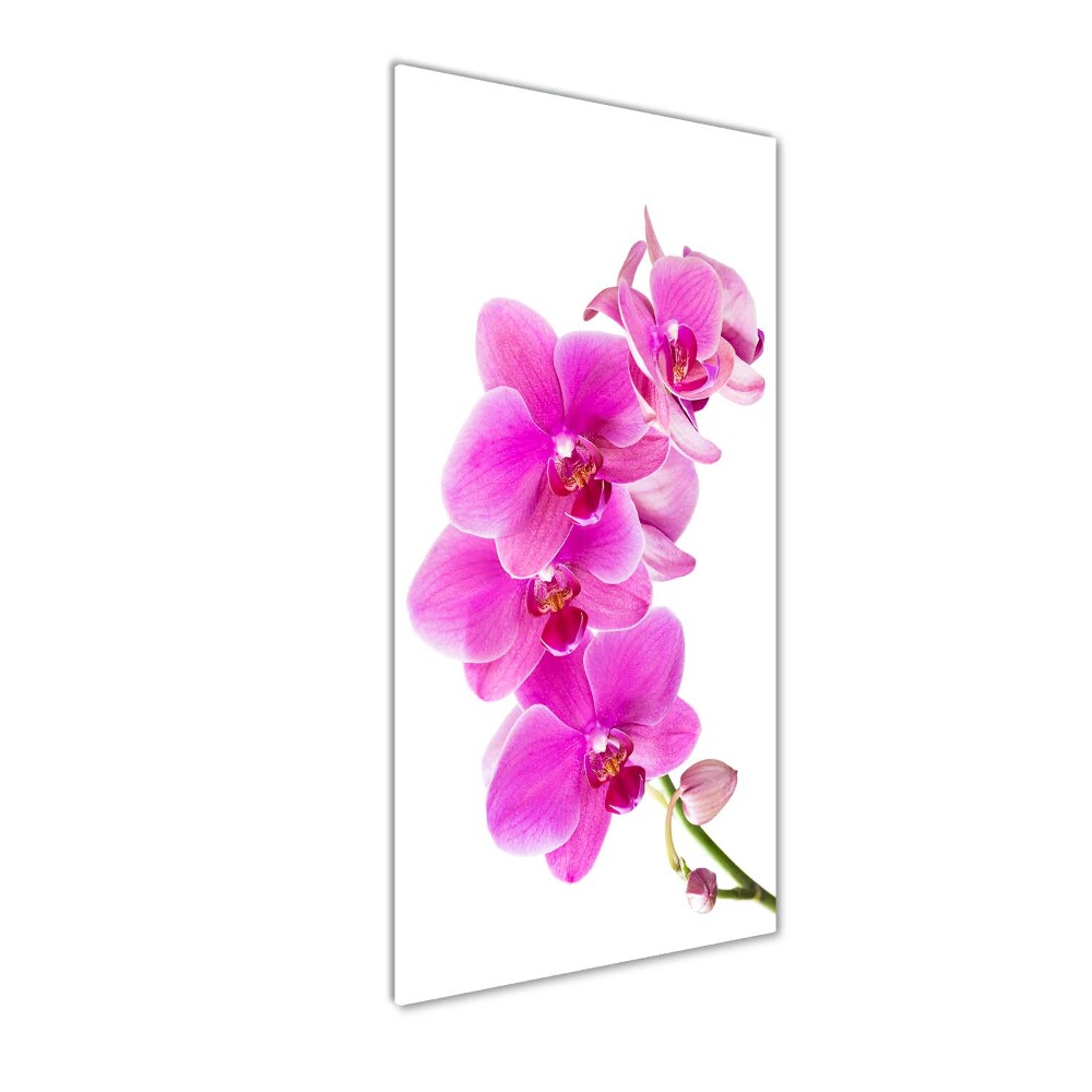 Obraz zdjęcie szkło akryl pionowy Różowa orchidea