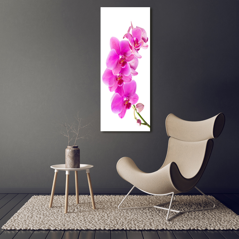 Obraz zdjęcie szkło akryl pionowy Różowa orchidea