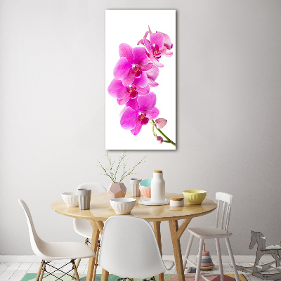 Obraz zdjęcie szkło akryl pionowy Różowa orchidea