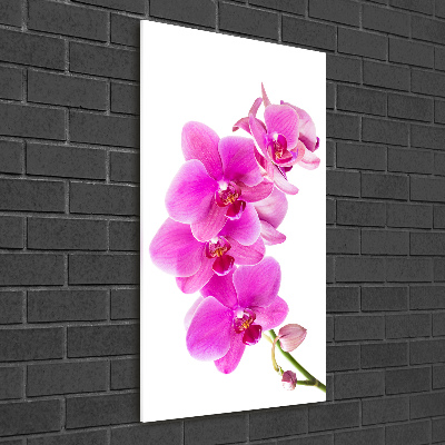 Obraz zdjęcie szkło akryl pionowy Różowa orchidea