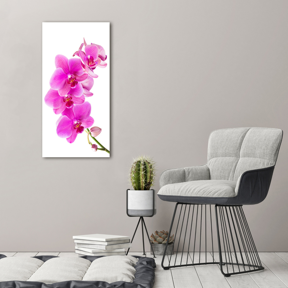 Obraz zdjęcie szkło akryl pionowy Różowa orchidea