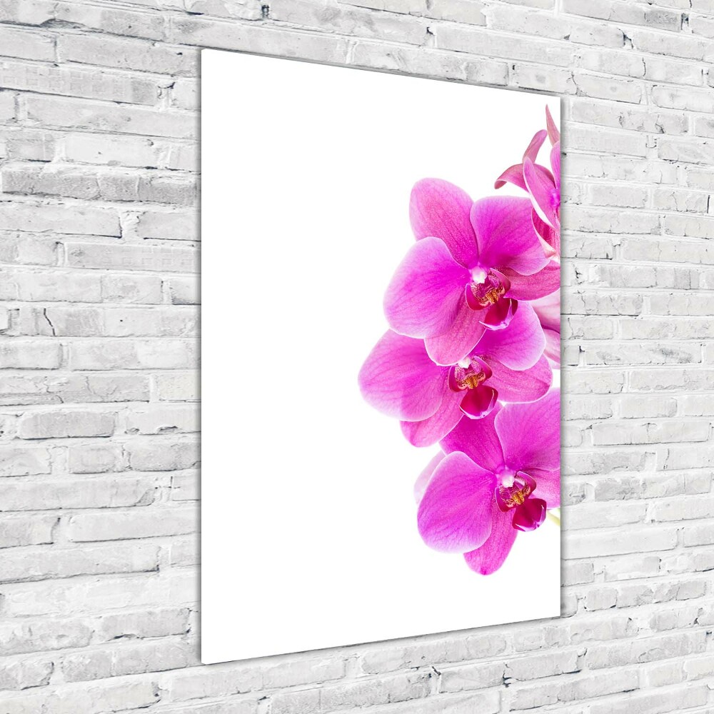 Obraz zdjęcie szkło akryl pionowy Różowa orchidea