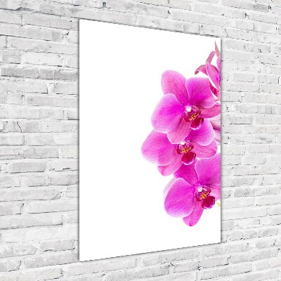 Obraz zdjęcie szkło akryl pionowy Różowa orchidea