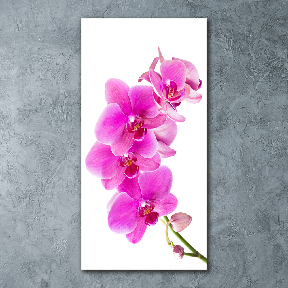 Obraz zdjęcie szkło akryl pionowy Różowa orchidea