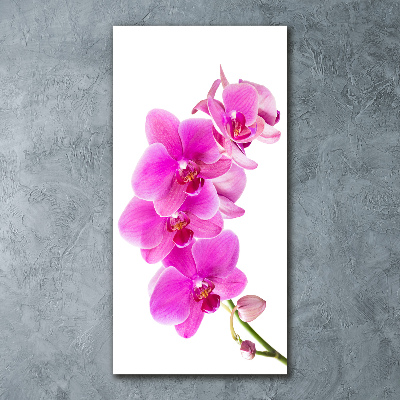 Obraz zdjęcie szkło akryl pionowy Różowa orchidea