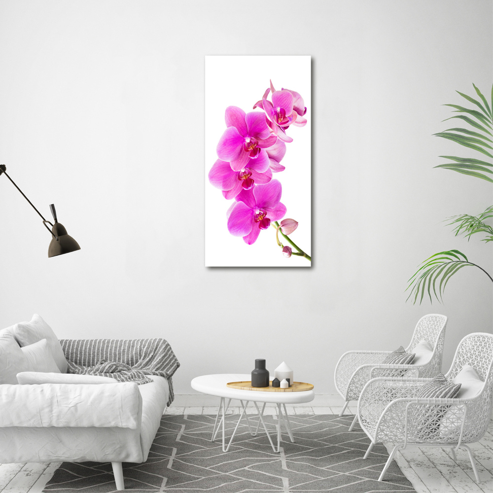 Obraz zdjęcie szkło akryl pionowy Różowa orchidea