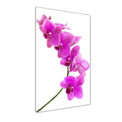 Obraz zdjęcie szkło akryl pionowy Różowa orchidea